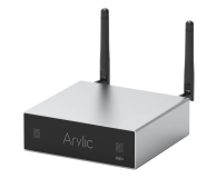 Arylic A50+ - 1133337 - zdjęcie 1